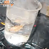 2.用液態氮急凍金魚後，再放入溫水重生
