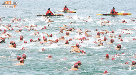維港渡海泳去年復辦，吸引千名市民參與。（資料圖片）