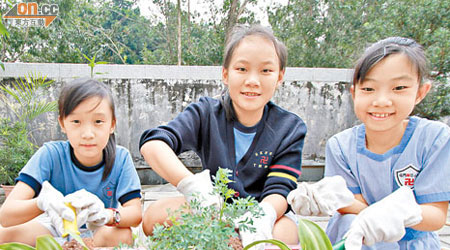 學生用廚餘肥替植物施肥。