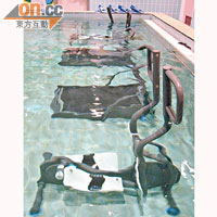 水療跑步機從德國引入，透過水中浮力承載人的體重，能減低關節炎痛楚。