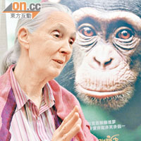Jane Goodall 珍古德