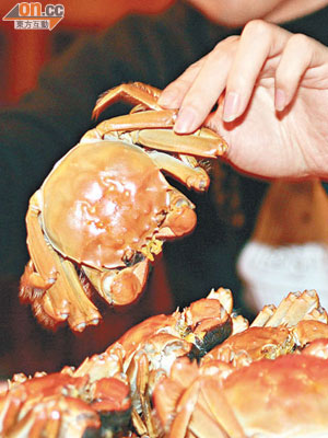 每逢食大閘蟹季節，不少市民都愛購買大閘蟹回家自行烹煮。（資料圖片）