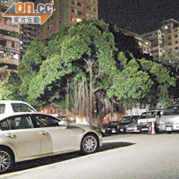 違規停車場於晚上經常泊滿車輛。
