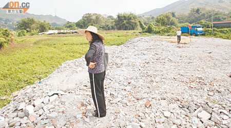 元朗竹新村有數千呎農地被人強行闖入傾倒泥頭。