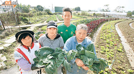 四位城市農夫（左起）阿娟、阿英、Pilot和阿財辛勤勞動，為港人提供有機蔬菜。(關萬亨攝)