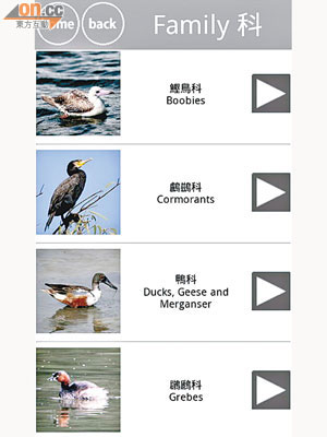 「香港鳥類」手機應用程式