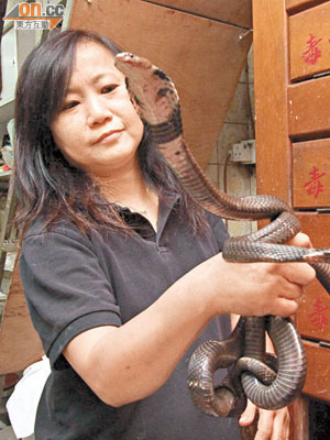 周嘉玲雖然身材嬌小，但一身捉蛇好本領。