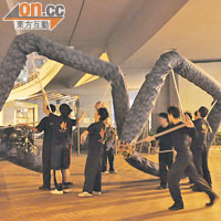 代表香港出外征戰的舞龍隊，多年來只可在天橋底下練習。