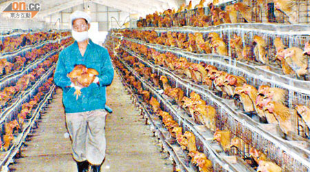 貴州一名感染禽流感的患者死亡。