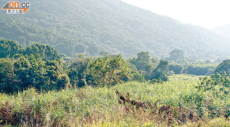 嵩山少林寺選址蠔涌的長嶺谷地興建香港少林寺，總面積較嵩山少林寺細一半。（蔡綺琳攝）