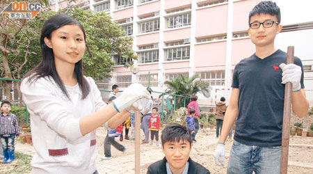 三名港大學生（左起）朱灝忻、何浩然及彭耀威開辦親子種植班，讓天水圍的家庭可享受田園樂。