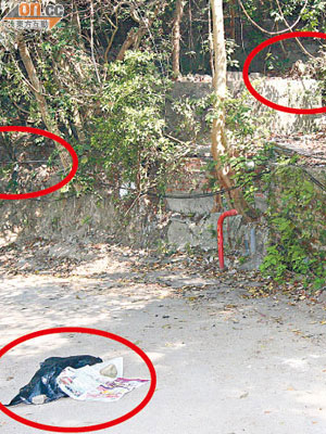 三隻流浪狗倒斃在山邊不同位置（紅圈示）。（何仲軒攝）