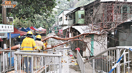 消防員在九華徑村戒備及鋸斷倒下的大樹。（曾紹良攝）