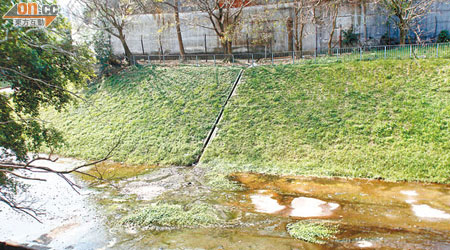 環保人士指麻笏河河床較淺，較難稀釋化學物質。
