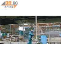 廣州街市消毒<br>廣州白雲區一個禽畜批發市場日前曾休市並進行消毒。（電視畫面）