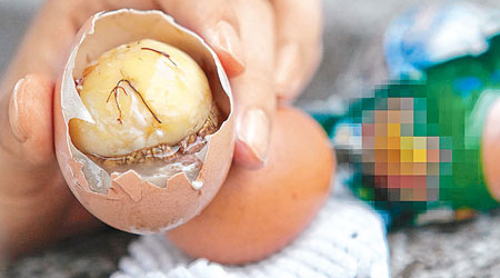 雞仔蛋內有一半球體、未成形胚胎，底部還有一硬塊。