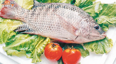 魚類含有豐富維他命B12。