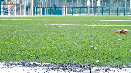 膠粒被雨水沖至人造草足球場的渠邊位置。（羅俊文攝）