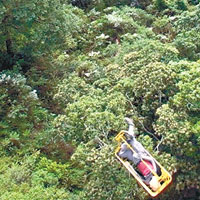 台灣空軍出動直升機救出在阿里山被落石砸傷的登山者。（中央社圖片）