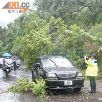 在葵涌，一輛七人房車遭塌下大樹砸中，幸司機僅輕傷。（曾紹良攝）