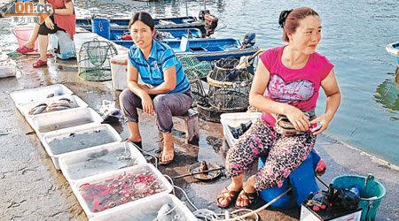 深圳龍崗區南澳鎮楊梅坑村東山碼頭有不少售賣海鮮的攤檔。