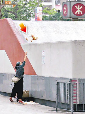 長沙灣站貼有禁止餵雀告示，惟每日仍有人將麵包拋上站頂餵雀。