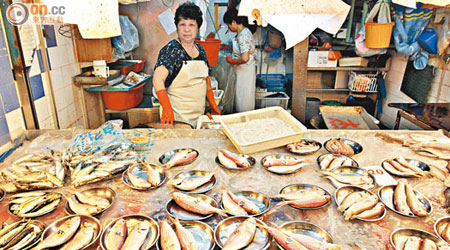 紅衫魚數目大幅下降，被世界自然基金會香港分會列入「避免」進食名單。（袁志豪攝）