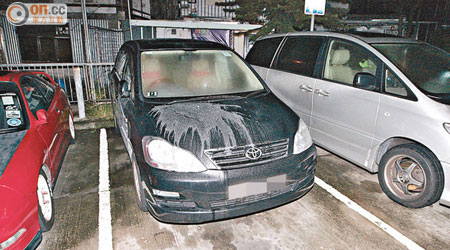 遭起漆水淋潑的私家車，車頭冚被「毀容」。（王偉安攝）