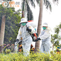 房屋署派員到男童居住的天晴邨範圍內的公園及花槽噴灑滅蚊劑。（袁志豪攝）