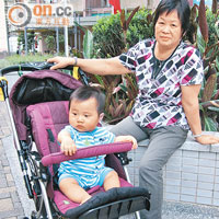 陳太每次帶孫兒散步皆準備大量蚊貼，以防孫兒被蚊叮。
