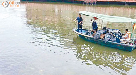 工人在筷子基北灣海面打撈死魚。