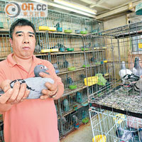 觀塘仁信里經營白鴿店的梁先生無懼當局清場，堅拒離開。