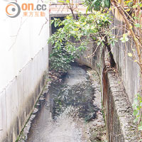 屯門藍地一帶有大量家居廢水排出，污染屯門河。