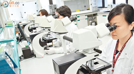 伊利沙伯醫院今年度加強分子細胞遺傳測試，例如螢光原位雜交測試，確定病人有否帶變異基因。（黃仲民攝）