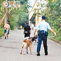 一名警員帶同警犬到場驅趕，所有賭徒即時四散。