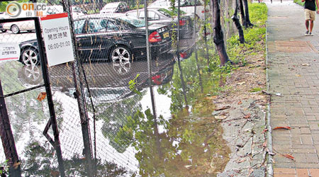 臨時停車場經常水浸，容易孳生蚊蟲。（柯倩儀提供）