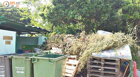 古洞村垃圾站近年不斷被棄置卡板等大型廢物。（讀者提供）