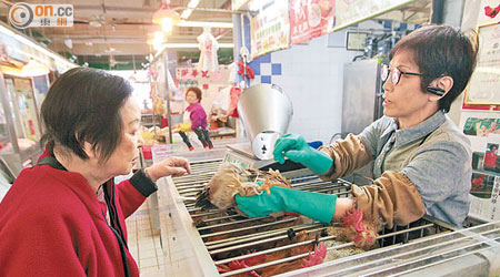 政府暫停深圳雞場活雞供港，昨日供港內地活雞減三千隻。（袁志豪攝）