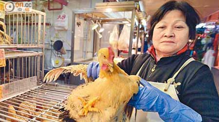 本港雞販戴手套處理家禽，做好防範措施。（蕭毅攝）