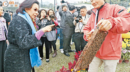 行政長官夫人梁唐青儀參觀養蜂場的攤位。（蘇文傑攝）