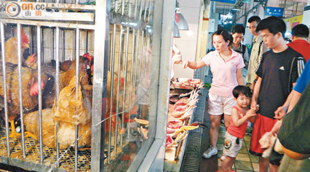 廣東省活家禽市場今日、元旦前及春節前將休市三天消毒，防範H7N9禽流感。