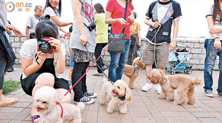 兒童自小接觸狗隻或有助減低誘發哮喘。（資料圖片）