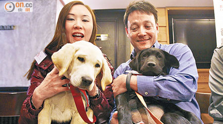 導盲犬Anna（前左）及Adam（前右），將與主人Keiyee（後左）及Jason（後右）共同生活一年，協助兩犬適應本港生活。（伍鎮業攝）
