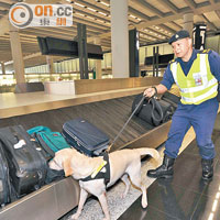 海關在機場把關堵截違禁品，本月發生集體請假事件令人關注。
