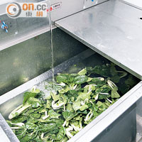 利用臭氧淨水技術，洗菜水可循環用作清潔地板，更可達致臭氧消毒。