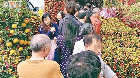 花墟一帶行人路被檔戶擺滿年花及盆桔，僅餘狹窄通道供市民通過。