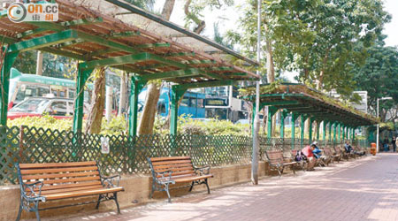 紅磡灣街一帶長椅蔭棚上攀緣植物被膠片遮蓋，生長或受影響。