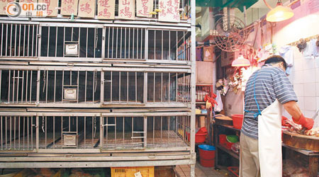 當局在農曆新年前一刀切殺雞停售，令早已大量入貨應市的雞販損失慘重。