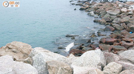 中華白海豚屍體擱淺在石灘上。（黃君堡攝）