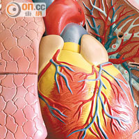 心跳過快會加重心臟負荷，令冠狀動脈血管更易積聚血塊。（資料圖片）